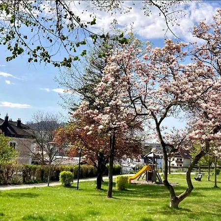 Fewo-gmunden - Traunsee 60 M2