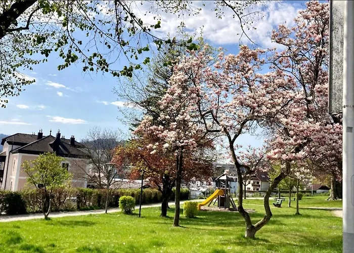 Fewo-gmunden - Traunsee 60 M2